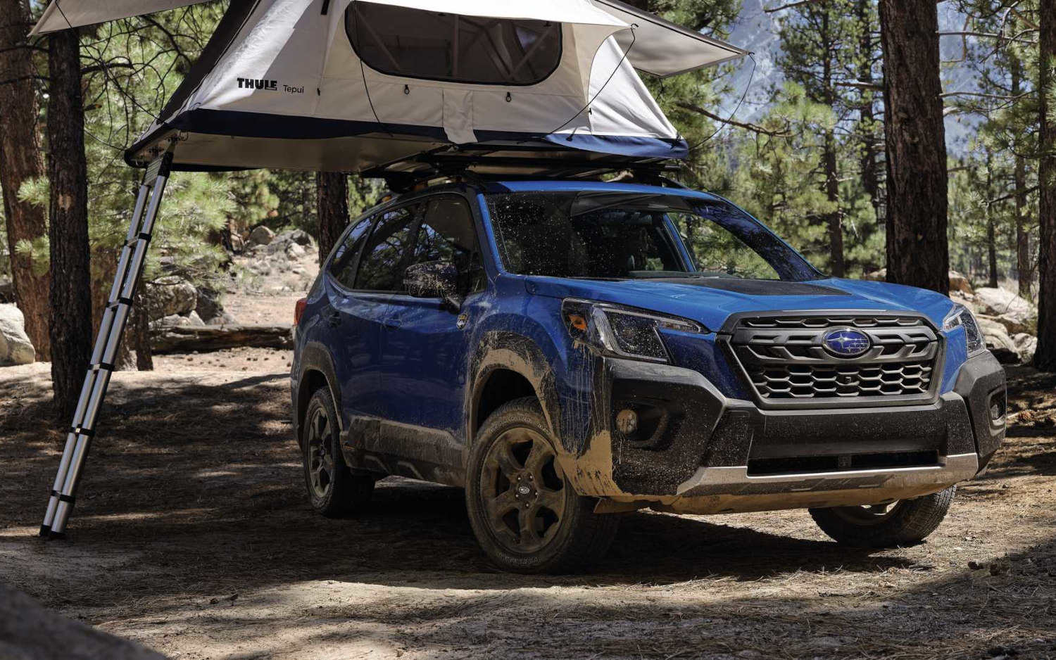 Subaru Forester Wilderness 2022 SUV Drive